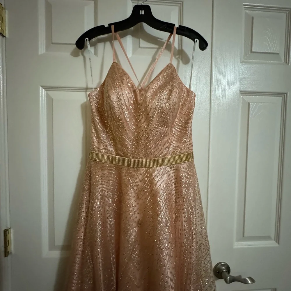 Pink Gown - Picture 7 of 11